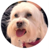Picture of Honey Norris