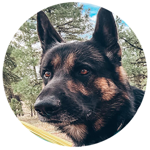Picture of Moose Norris