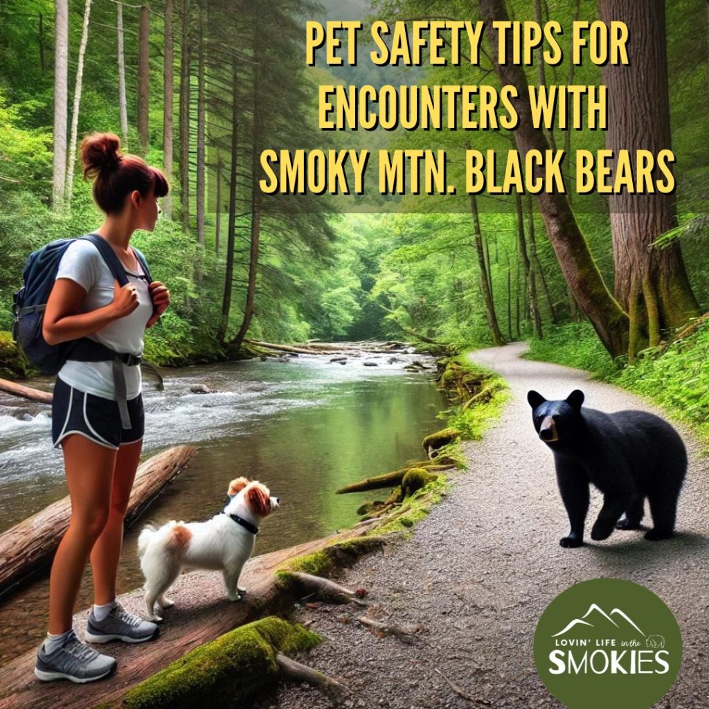 Bear Safety Tips